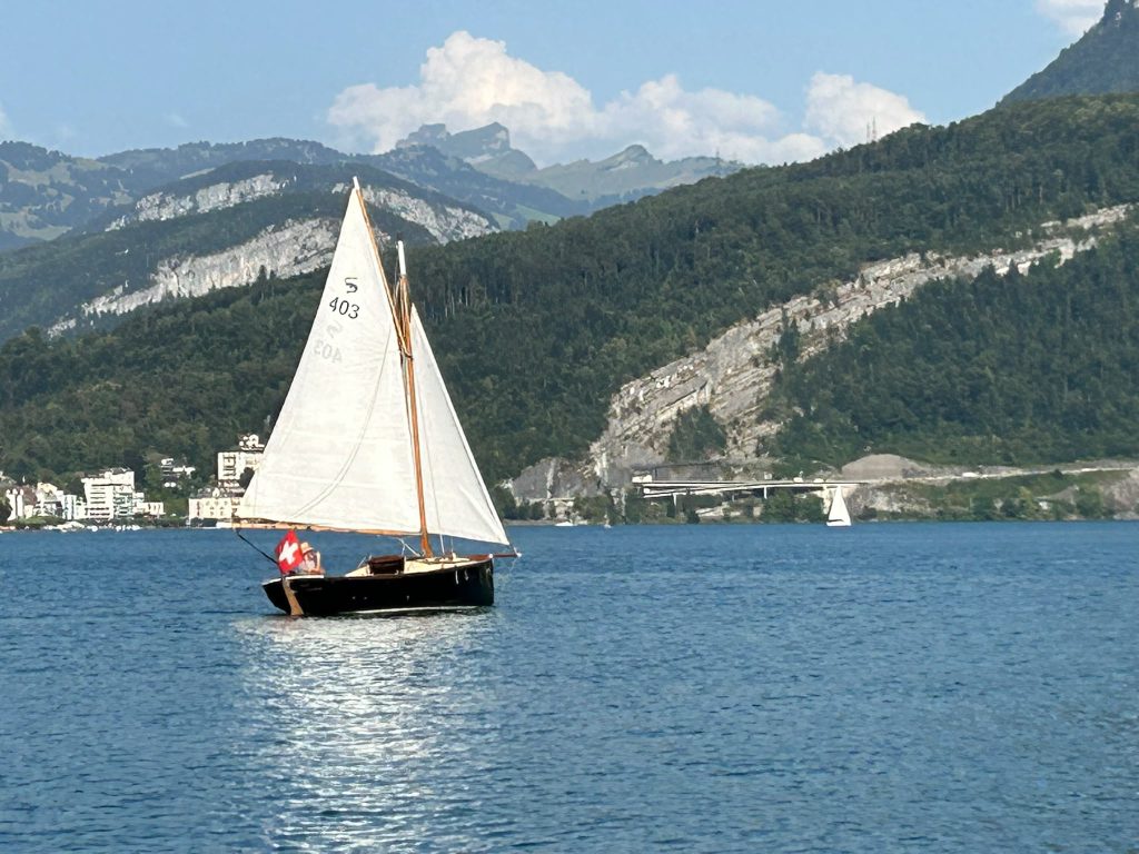 PHOTO 2026 08 11 18 31 49