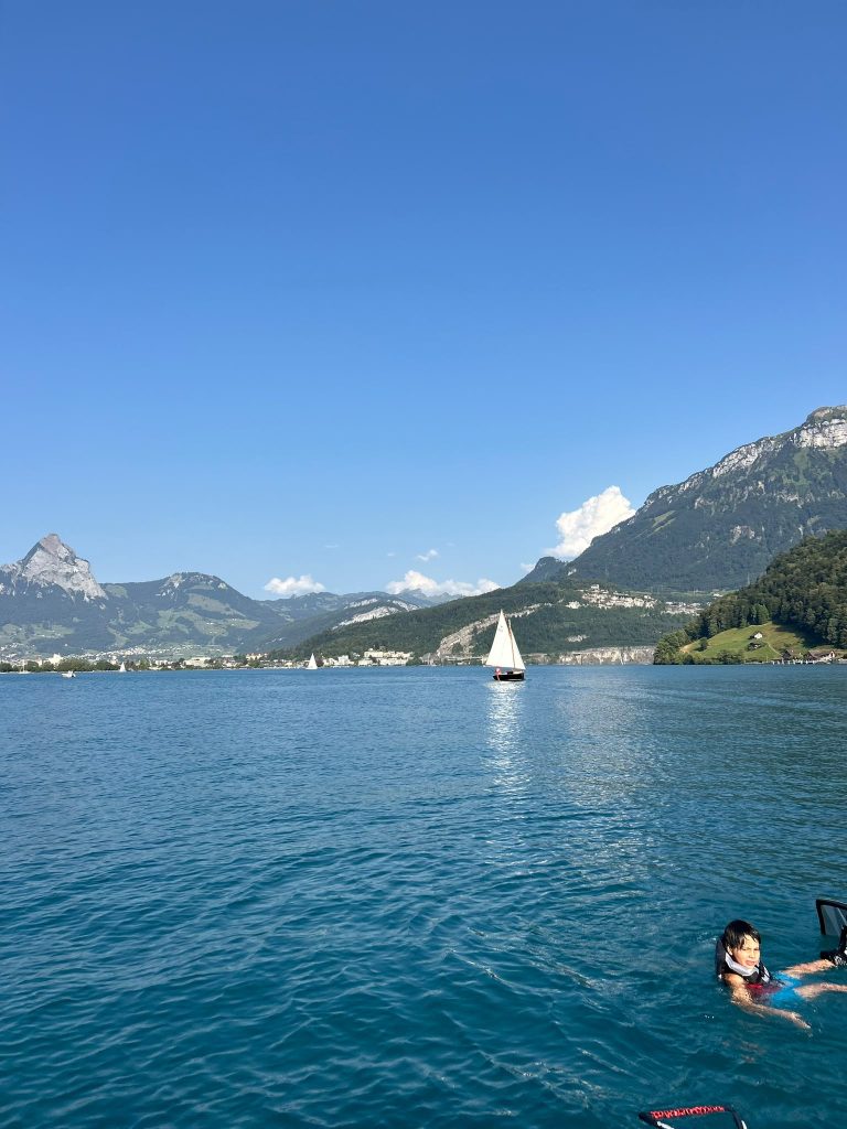 PHOTO 2026 08 11 18 31 49 4